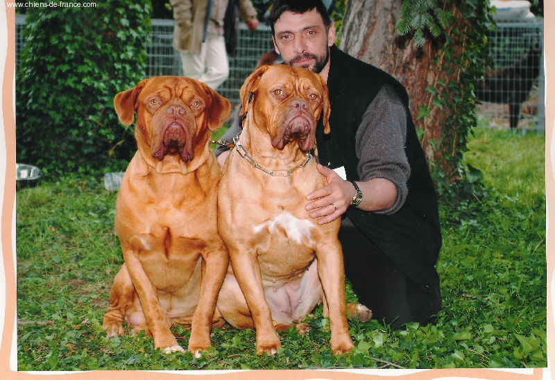 Des seigneurs des balkans - MEILLEUR COUPLE DE L'EXPOSITION DE CHATELGUYON 2004