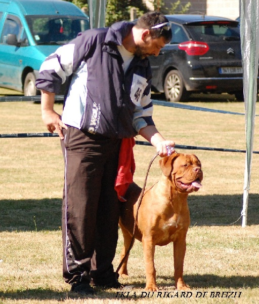 Ekla Du regard de breizh