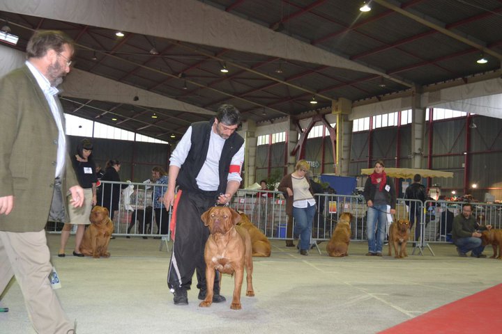 Ekla Du regard de breizh