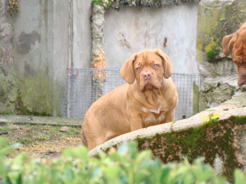 Ekla Du regard de breizh